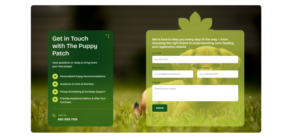 The Puppy Patch
