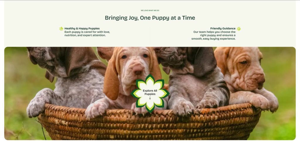 The Puppy Patch